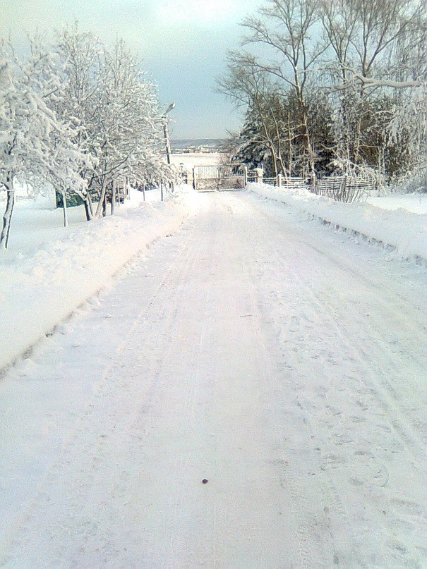 Адель Вадимович | Куркачи