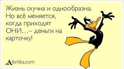 Артем Пахомов | Санкт-Петербург