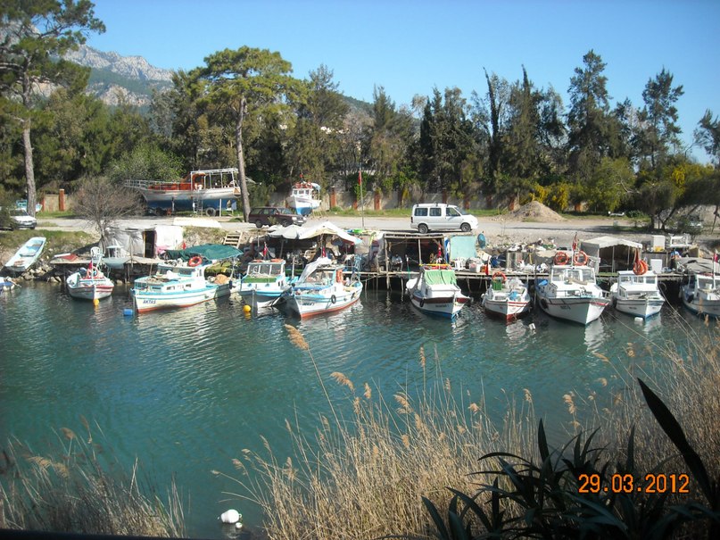 Анатолий Коробейников | Курган