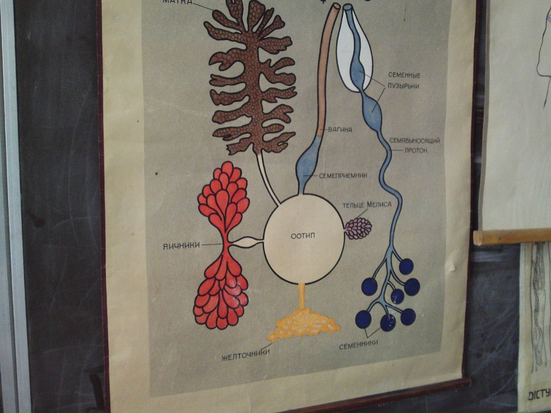 Сашок Пронин | Москва