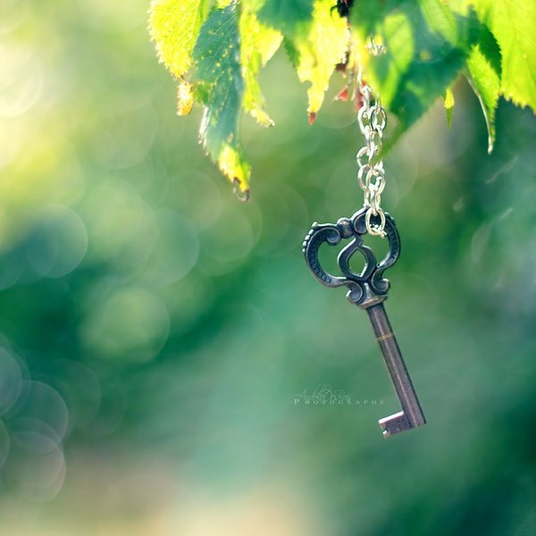 №144, Ольга Лукманова, Нижний Новгород №144, Ольга Лукманова, Нижний Новгород