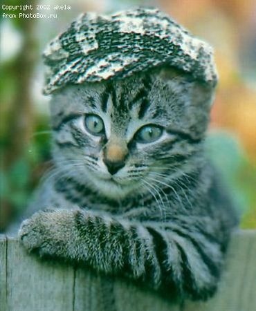 №3, Дамир Ваккас, Казань №3, Дамир Ваккас, Казань