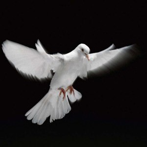 Тёма Васильев | Ростов-на-Дону