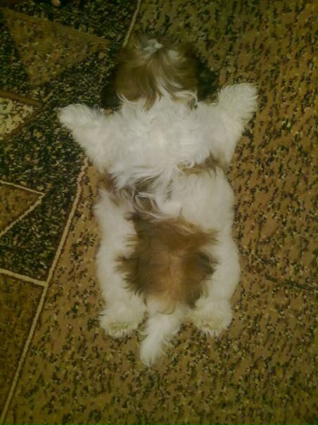 №101, Максим Пилипенко, 34 года, Севастополь №101, Максим Пилипенко, 34 года, Севастополь