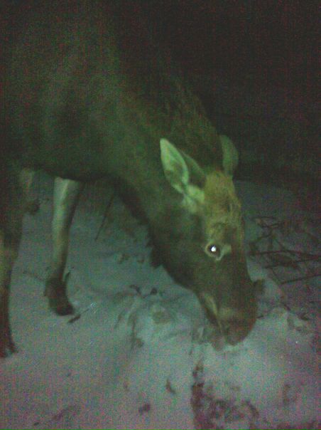 №37, Олег Жучек, 43 года, Саранск №37, Олег Жучек, 43 года, Саранск