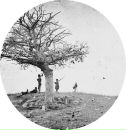 Фотография Артур Ибрагимов