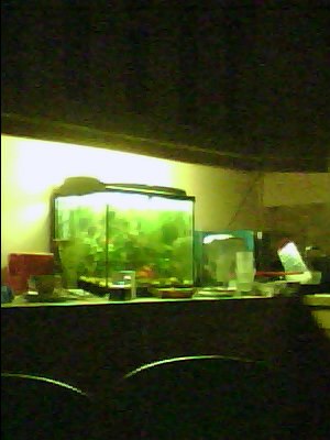 Ксения Дегтярева | Санкт-Петербург