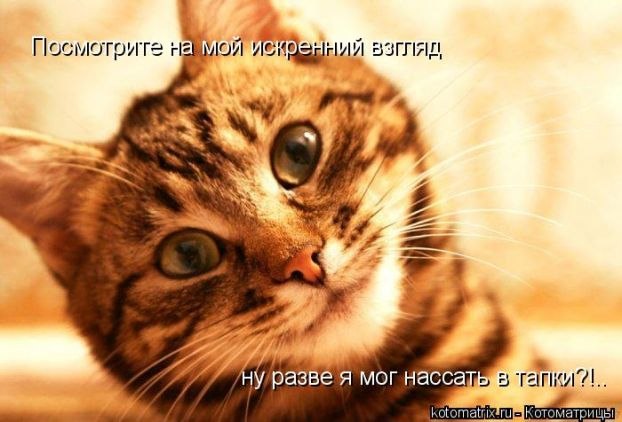 Алекс Третьяков | Жатай