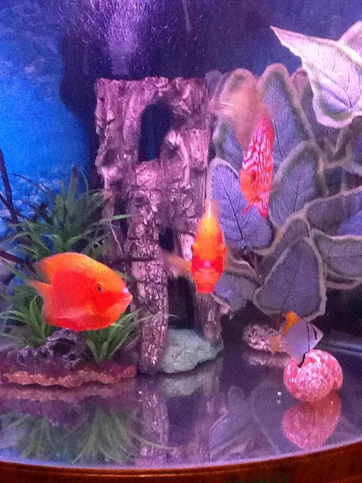 Роман Кузнецов | Казань