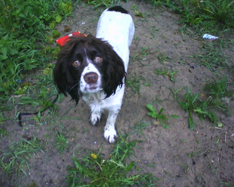Володя Прокофьев Викторович | Санкт-Петербург