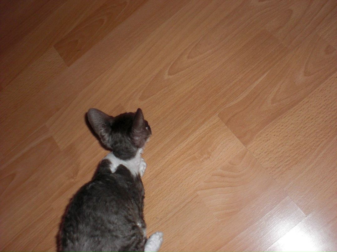 Юлия Лукина | Гатчина