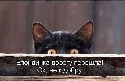 Дарина Макшеева Darinkina | Омск