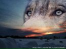 Фотография Алексей Ларченков