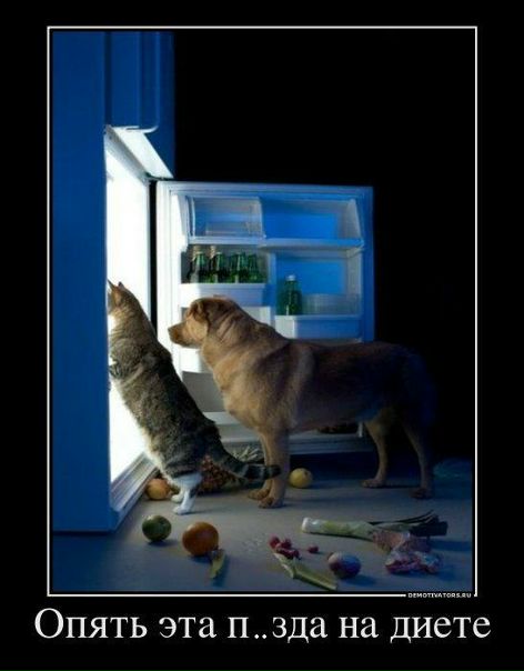 №55, Евгений Журавлёв, 41 год, Киев №55, Евгений Журавлёв, 41 год, Киев