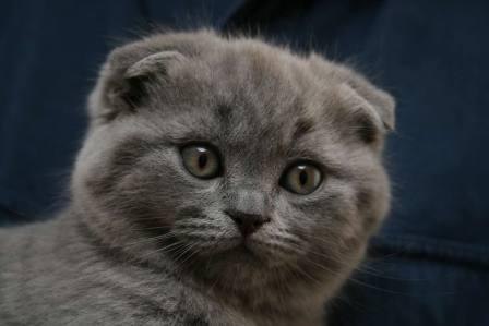 Кирилл Суворов | Екатеринбург