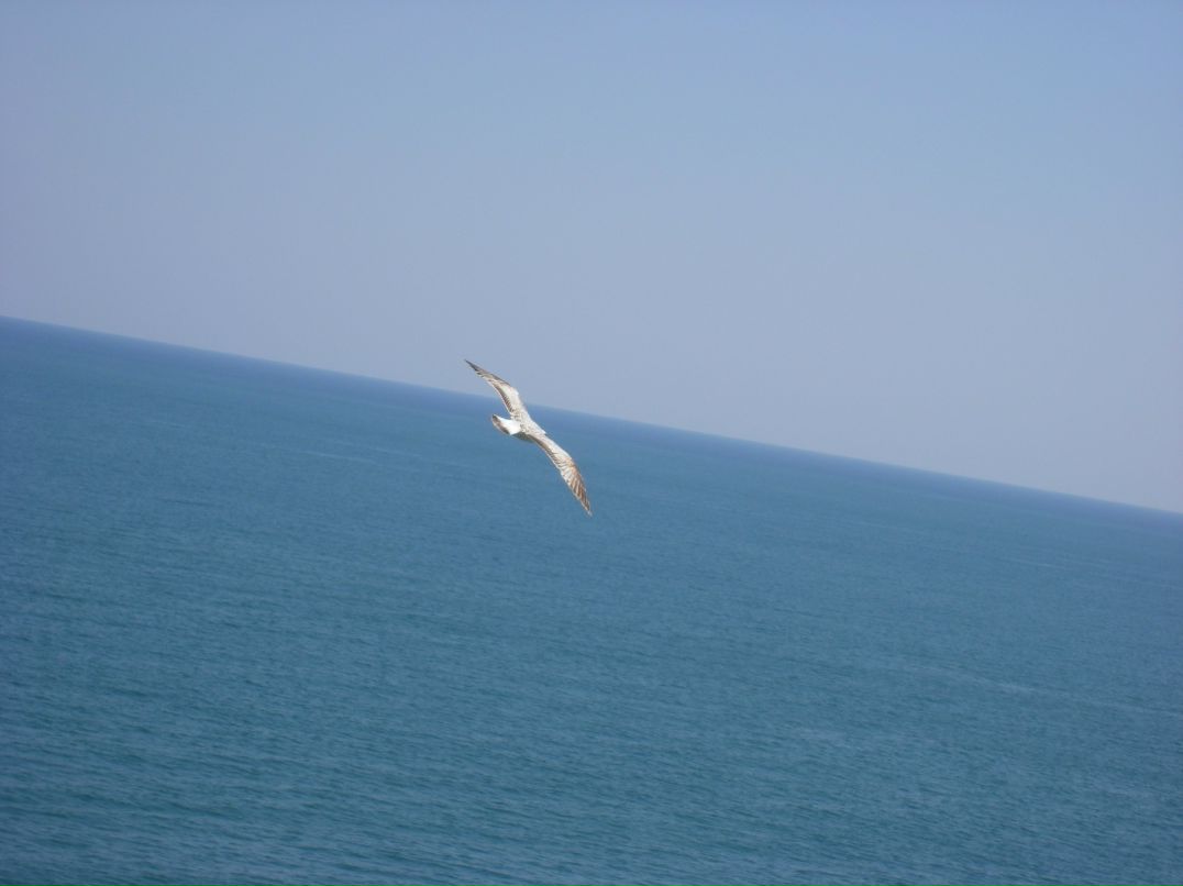 Михаил Глотов | Гурзуф