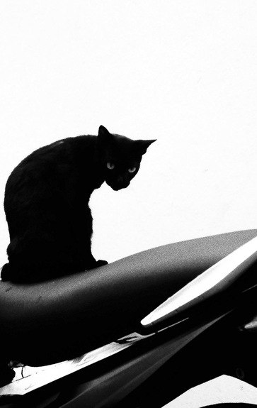 Денис Малахов | Москва