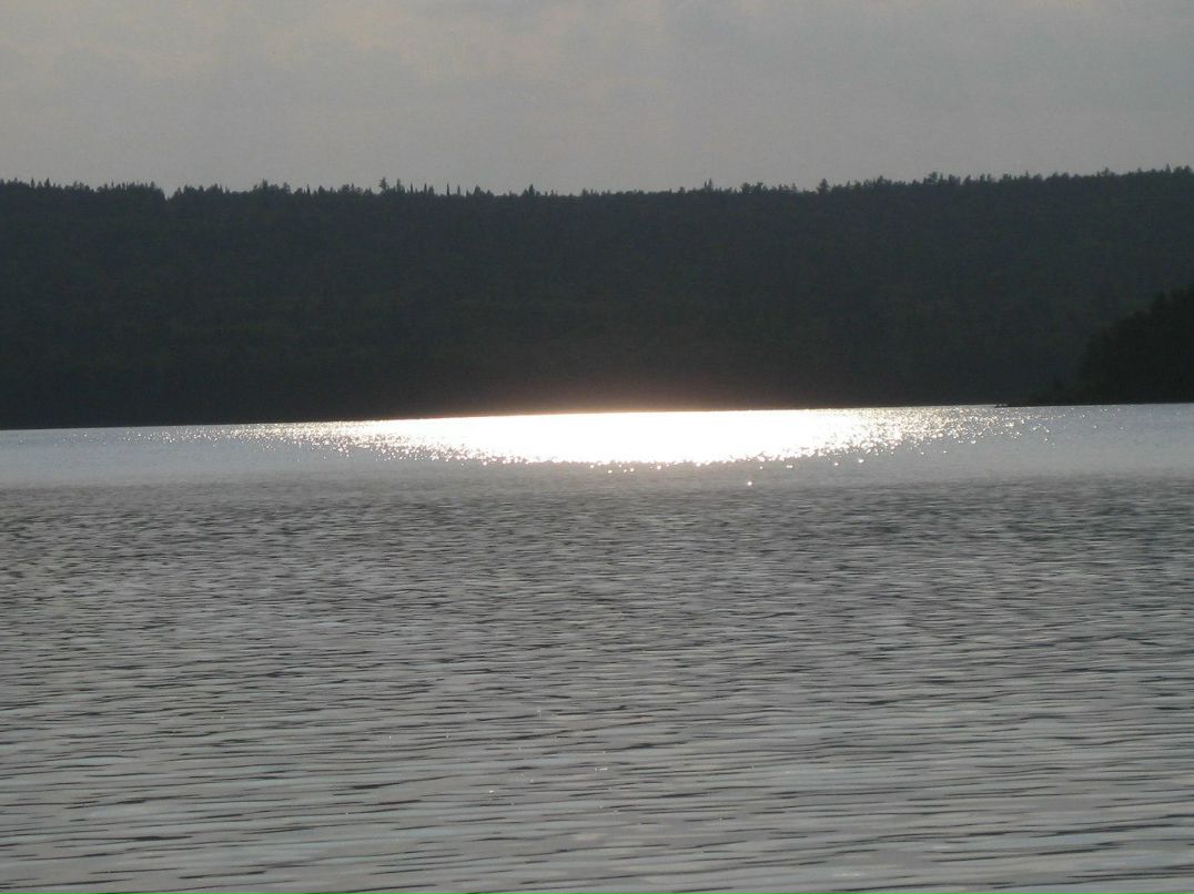 Елена Саночкина | Екатеринбург