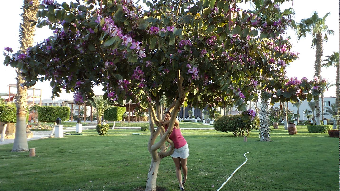 Ирина Лашина | Гатчина