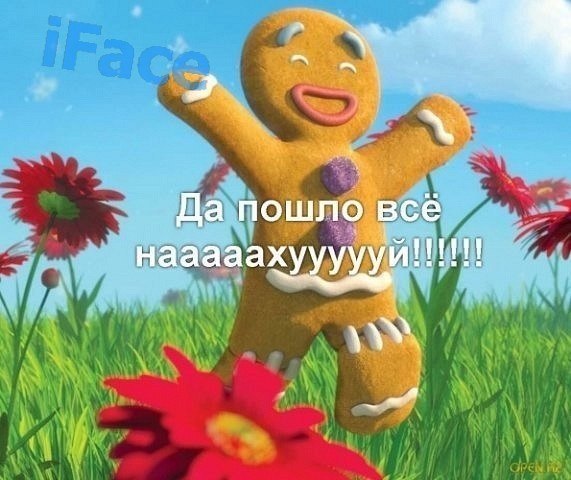 Андрей Янович | Молодечно