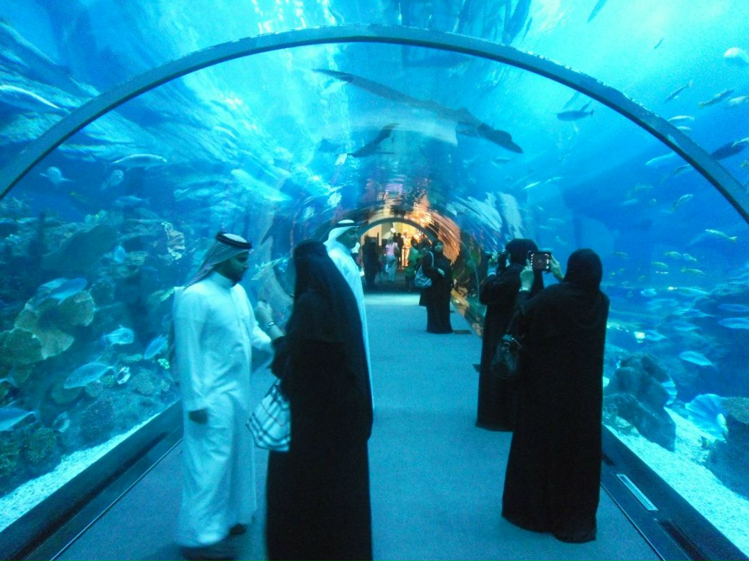 Александр Соколов | Бишкек