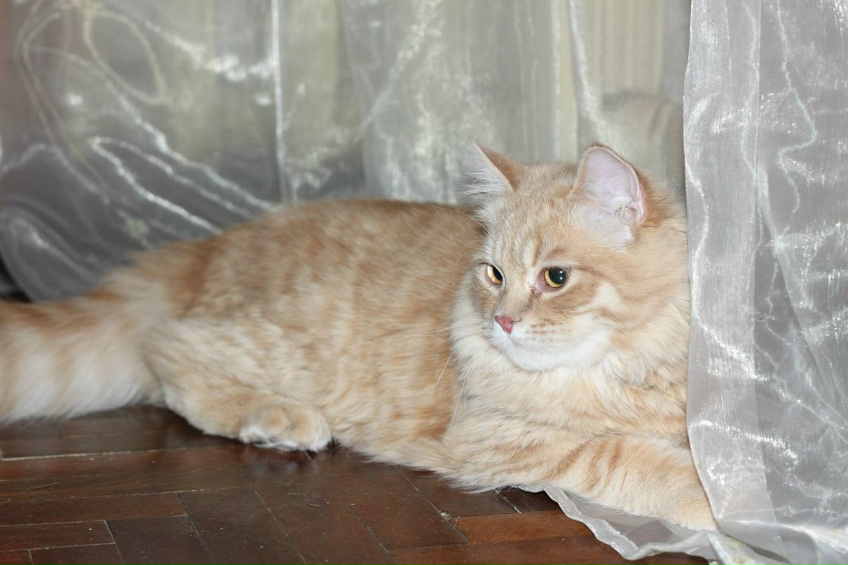 Катя Князева | Санкт-Петербург