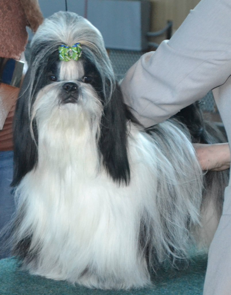 Оля Фартушна | Кривой Рог