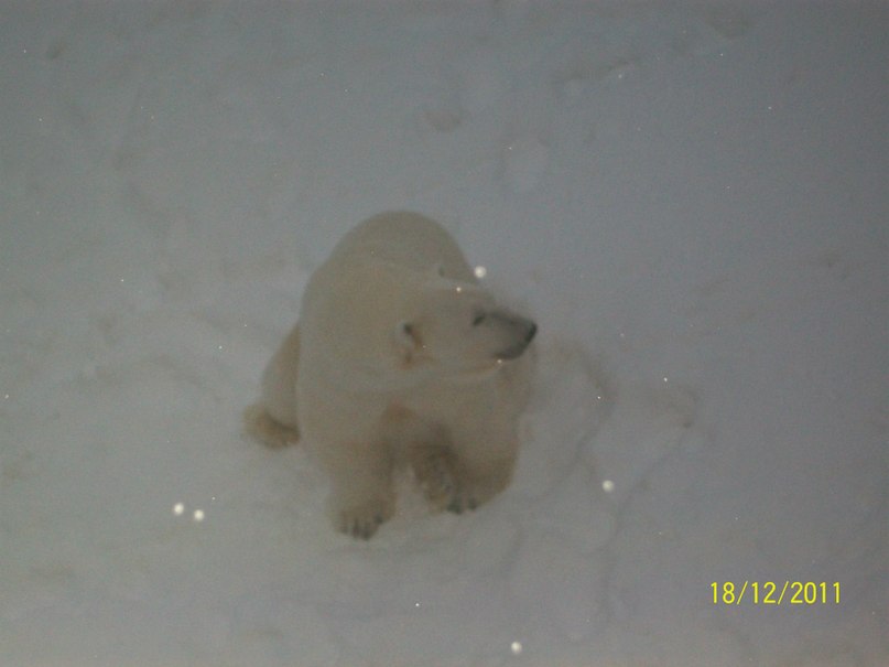 Алина Ескина *без подруги не как* | Костомукша