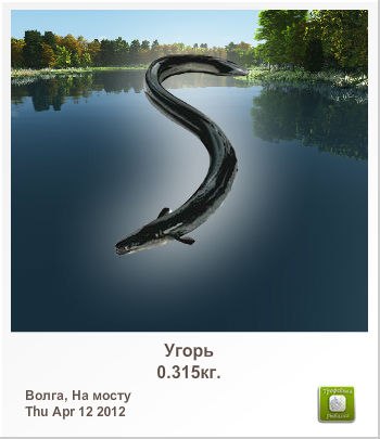 Денис Фирсов | Беловодск