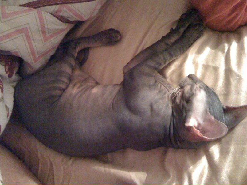 №22, Альбина Галиуллина, Тюмень №22, Альбина Галиуллина, Тюмень