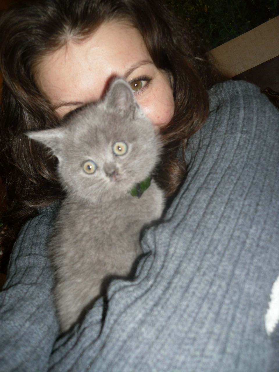 Оля Штефан | Киев