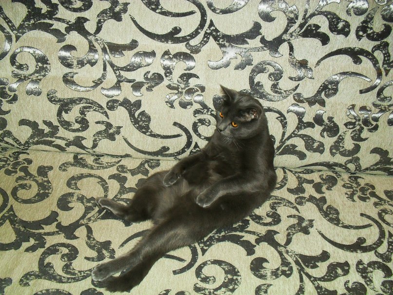 Никита Печёнкин Александрович | Киров