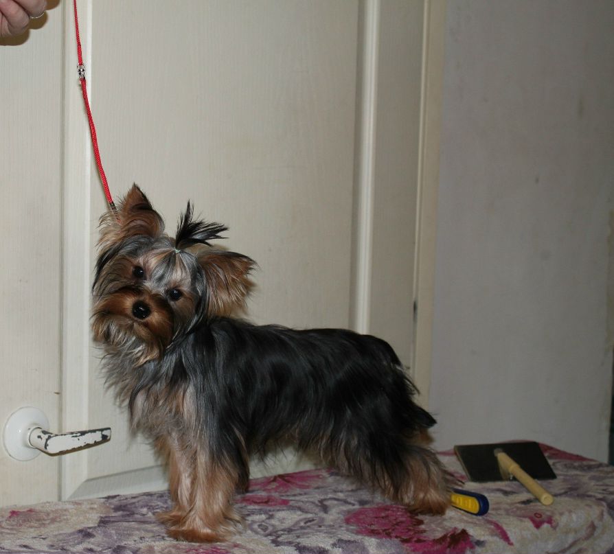 Екатерина Медведева | Балаково