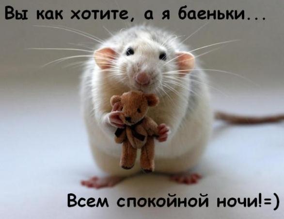 №146, Елена Прекрасная, 99 лет, Санкт-Петербург №146, Елена Прекрасная, 99 лет, Санкт-Петербург