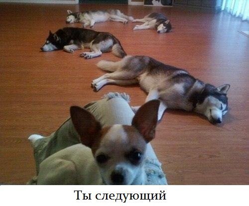 Артем Баленко ʁɔvʎнdǝʚǝdǝu dиw | Москва