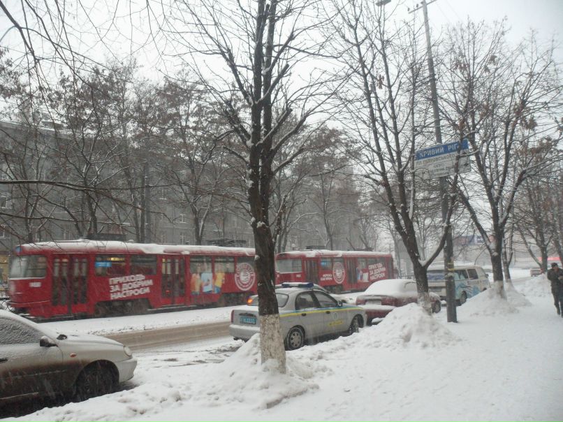 Анна Ничипоренко | Гродно