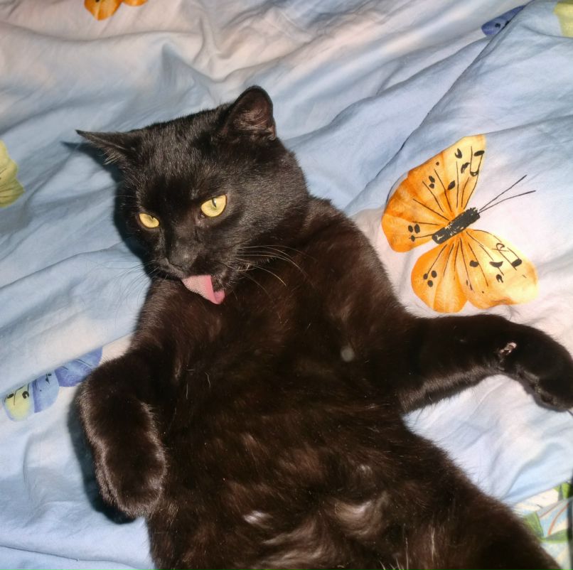 Ирина Доброткина | Гатчина