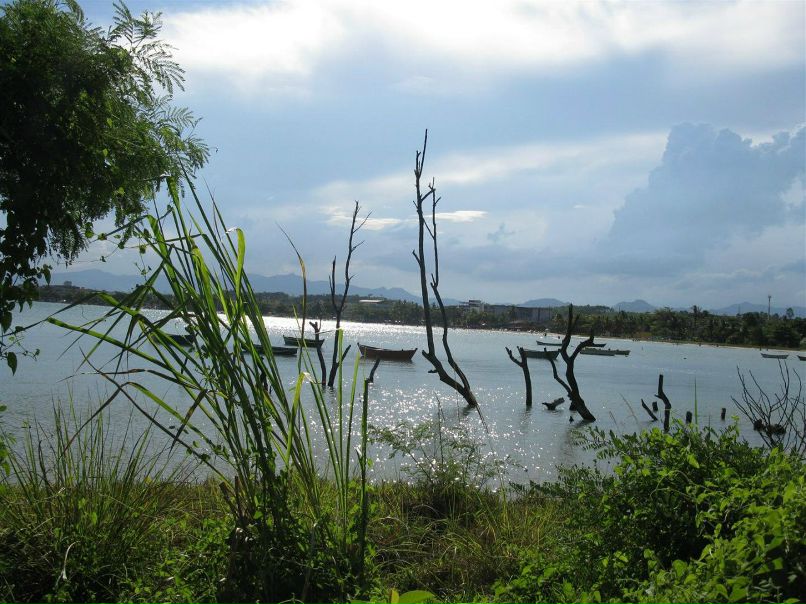 Svetlana Silva | Воронеж