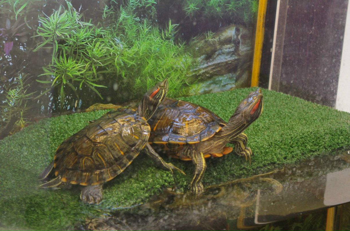 Любовь Фияксель | Нижний Новгород