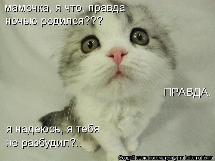 Ольга Мочалова | Москва