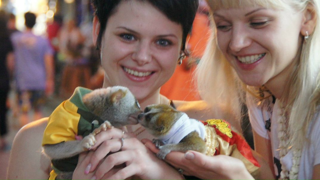 №54, Garik Мояаваша, Зеленоград №54, Garik Мояаваша, Зеленоград