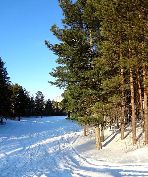 Наталья Кудрявцева | Сургут