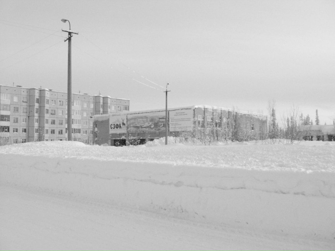 Елена Певцова | Коашва