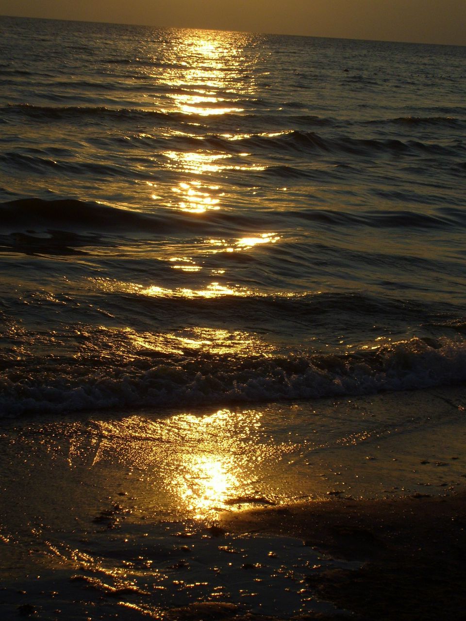 Вера Варзумова | Карпогоры