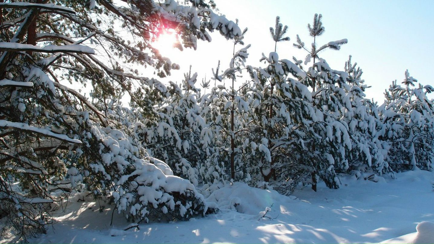 Любовь Чернега | Рославль