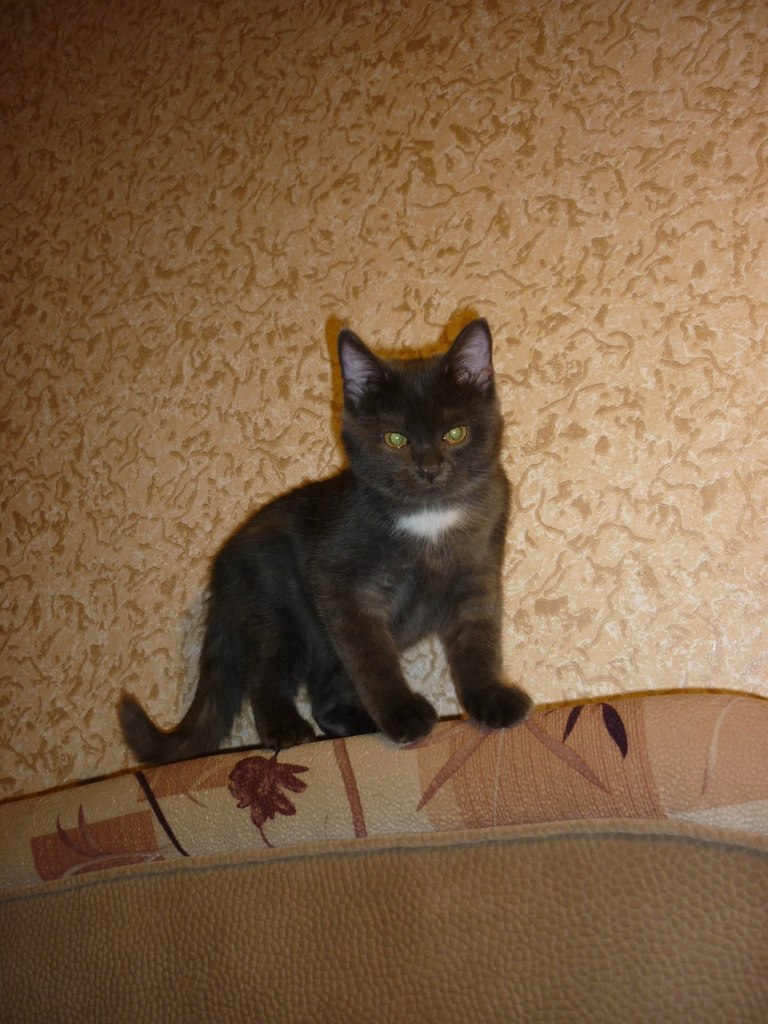 Инга Сомкина | Санкт-Петербург