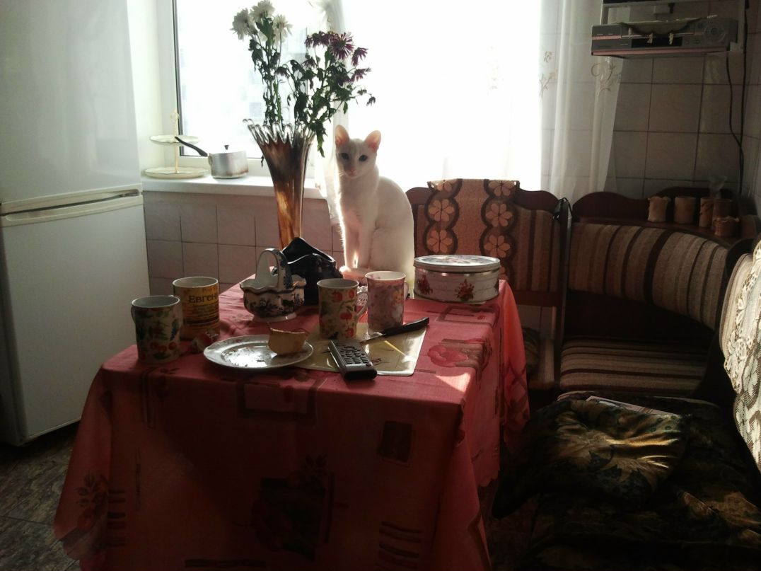 Евгений Ботэ | Warszawa