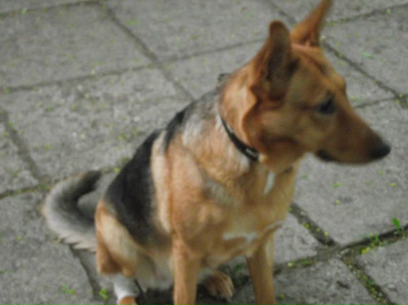 Дина Малашко | Минск