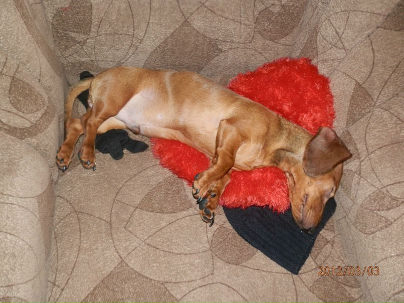 Саша Набока | Николаев