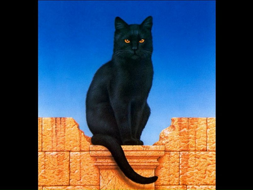 №12, Елена Медведева, 42 года, Одесса №12, Елена Медведева, 42 года, Одесса